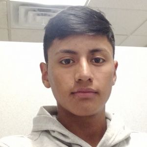 Meet your Posher, Manuel